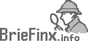 BrieFinx.info
